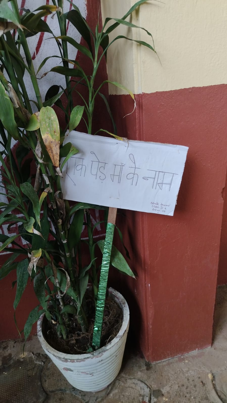Ek ped maa ke naam